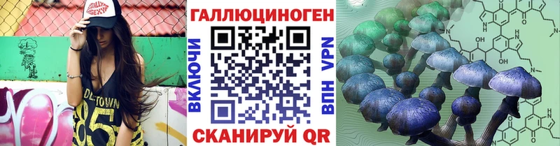 Псилоцибиновые грибы Psilocybine cubensis  Ворсма 